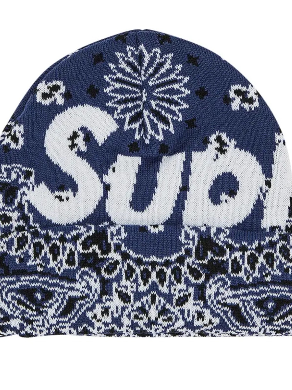 Supreme Bandana Beanie